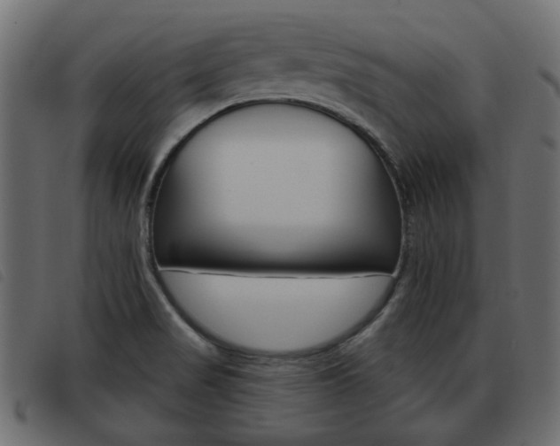 X0000093621517200710151030