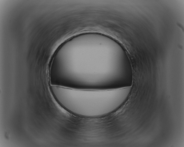 X0000093621519200710151030