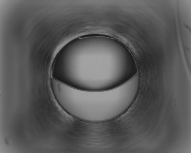 X0000093621520200710151030