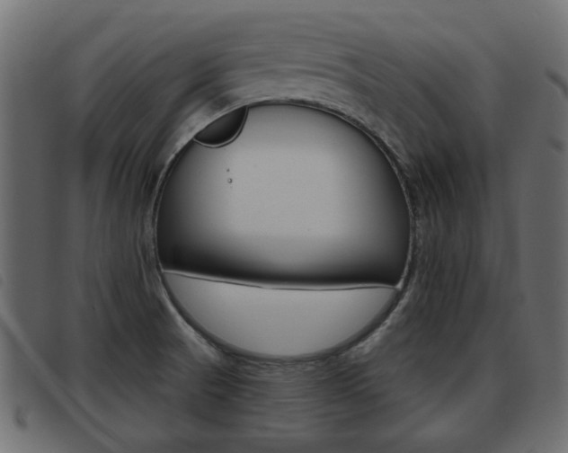 X0000093621521200710151030