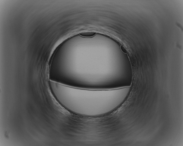 X0000093621522200710151030