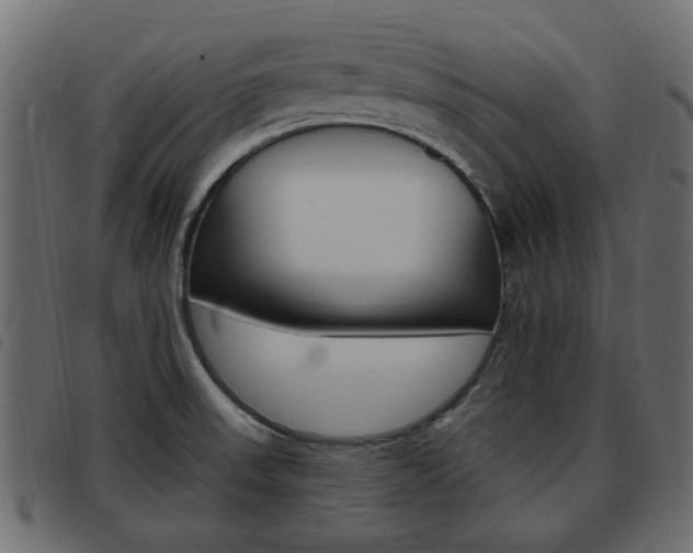 X0000093621523200710151030