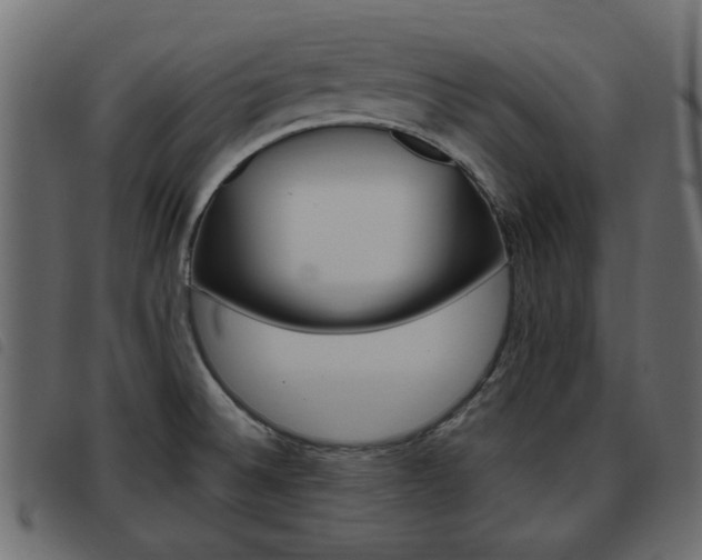 X0000093621524200710151030