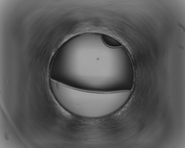 X0000093621525200710151030