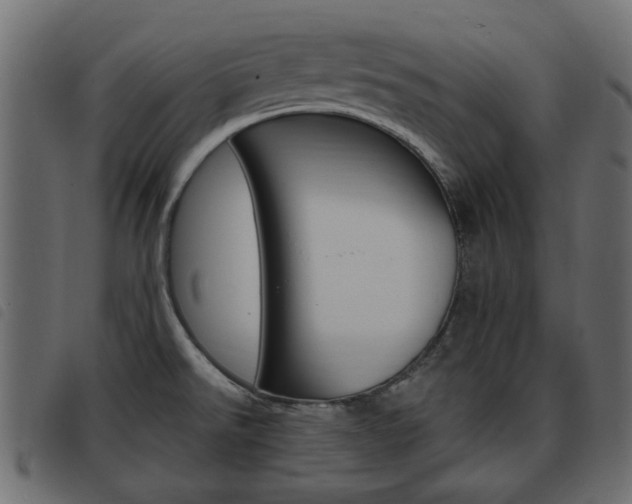 X0000093621526200710151030