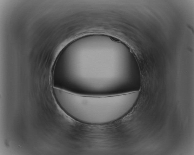 X0000093621527200710151030