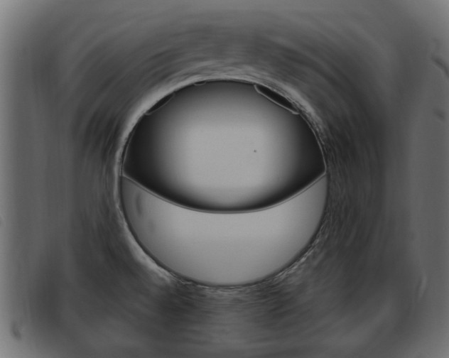 X0000093621528200710151030