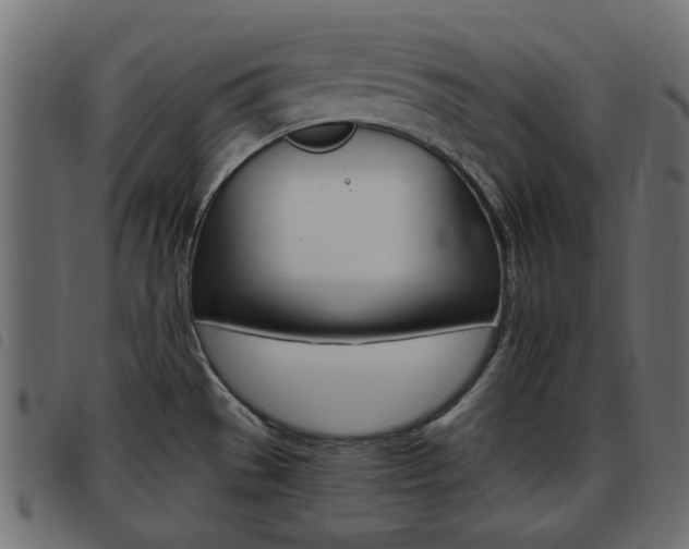 X0000093621529200710151031