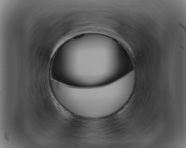 X0000093621530200710151031