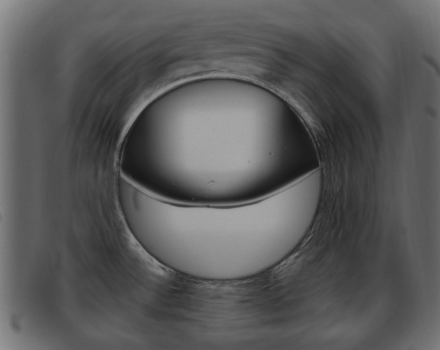 X0000093621532200710151031