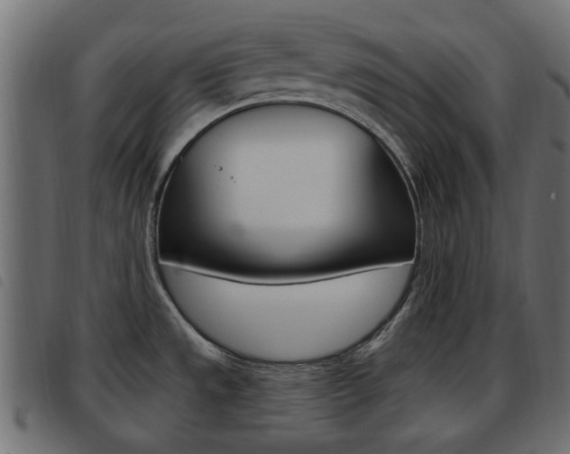 X0000093621533200710151031