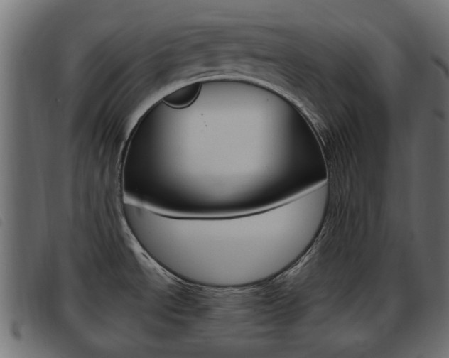 X0000093621534200710151031