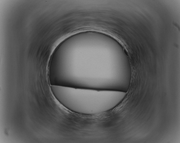 X0000093621535200710151031