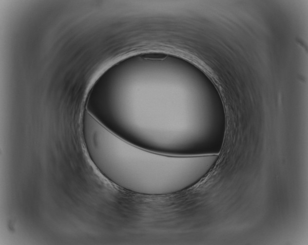 X0000093621536200710151031