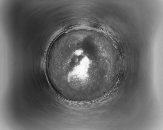 X0000093620003200710151310