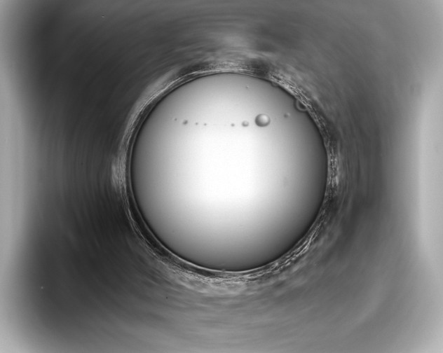 X0000093620004200710151310
