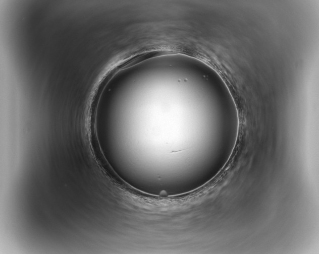 X0000093620006200710151310