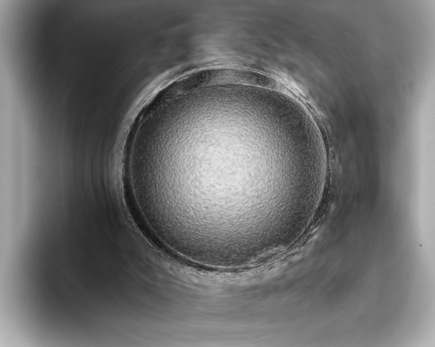 X0000093620007200710151310