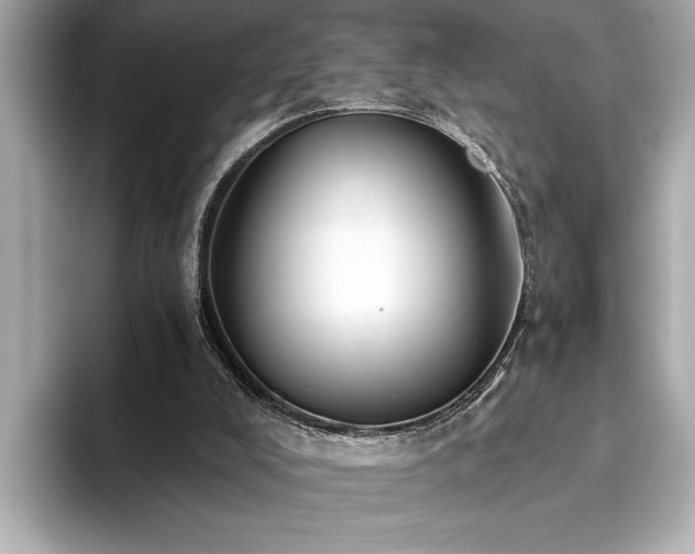 X0000093620008200710151310