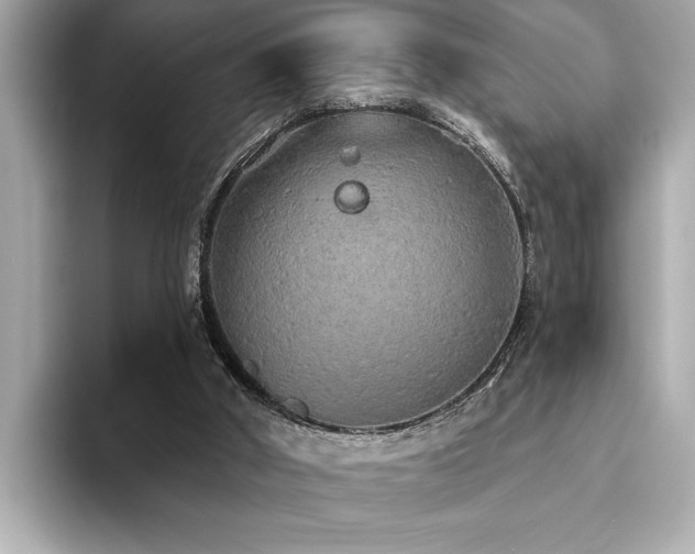 X0000093620010200710151310