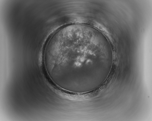 X0000093620012200710151310