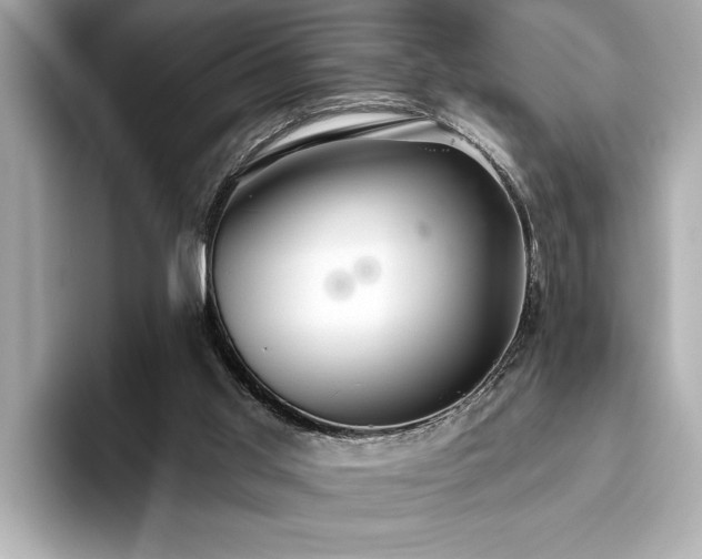 X0000093620013200710151309