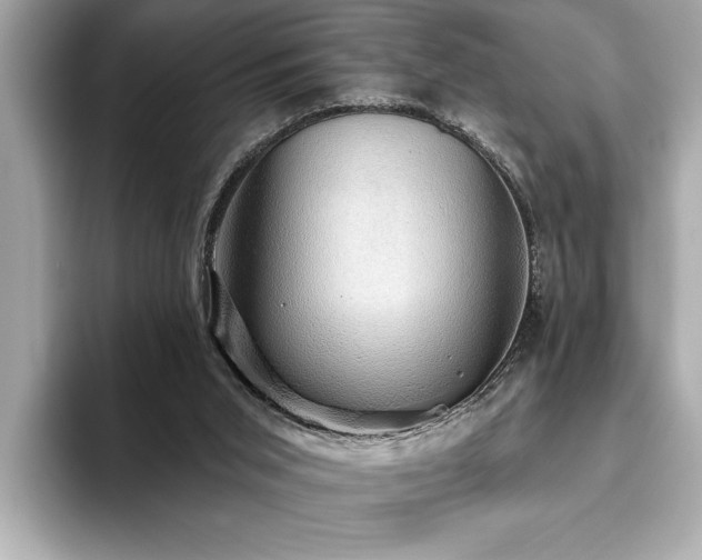 X0000093620015200710151309