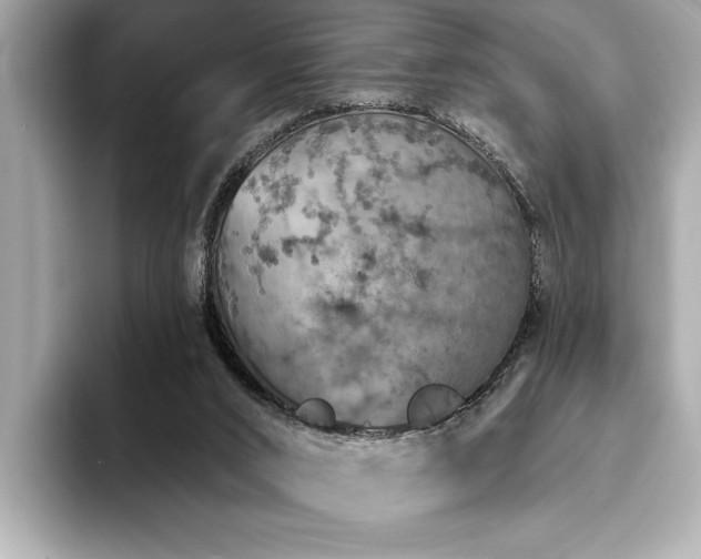 X0000093620016200710151309