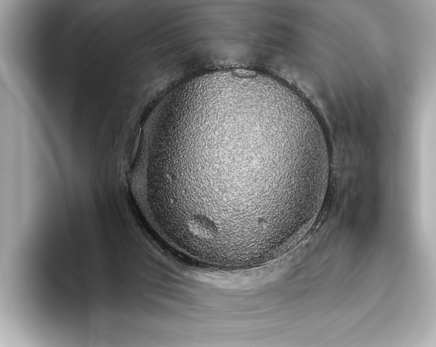 X0000093620017200710151309