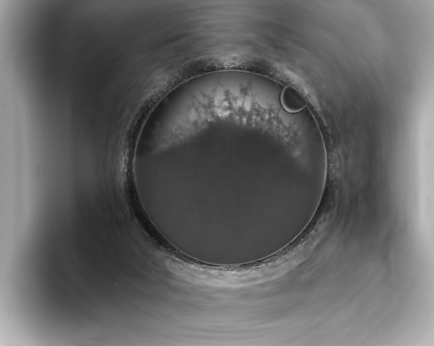 X0000093620018200710151309