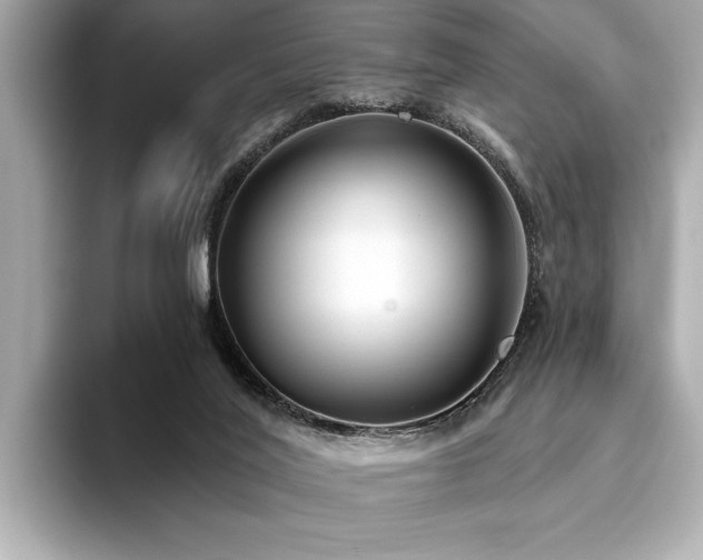 X0000093620020200710151309