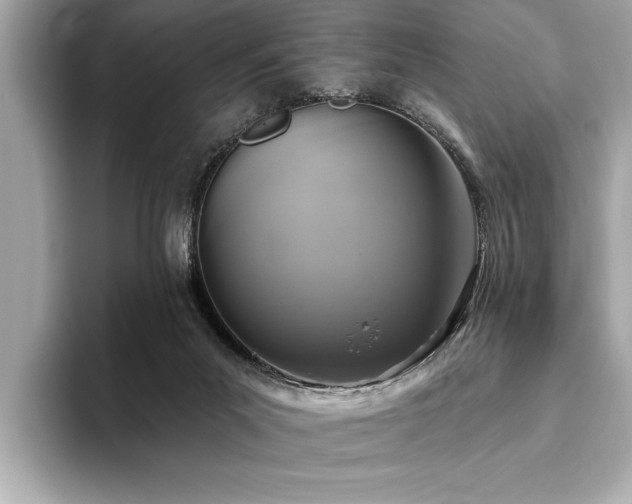 X0000093620023200710151309