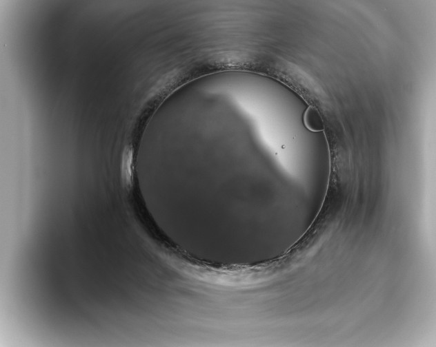 X0000093620024200710151309