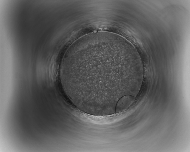 X0000093620030200710151309
