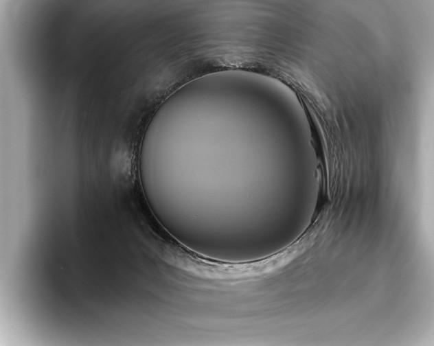 X0000093620031200710151309