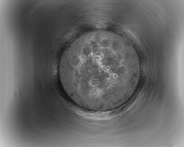 X0000093620032200710151309