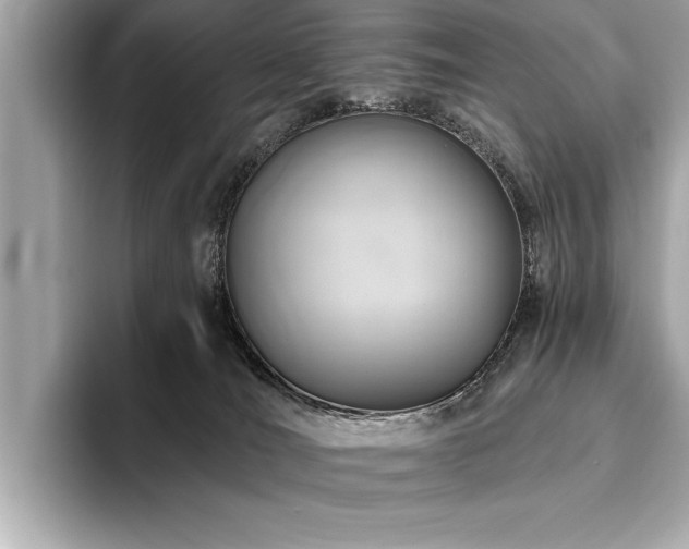 X0000093620036200710151309
