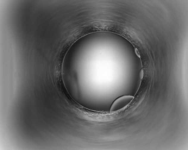 X0000093620040200710151309