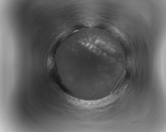 X0000093620043200710151309