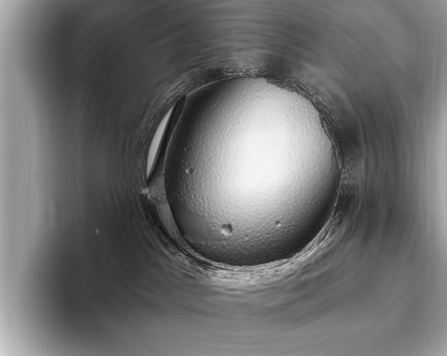 X0000093620045200710151309