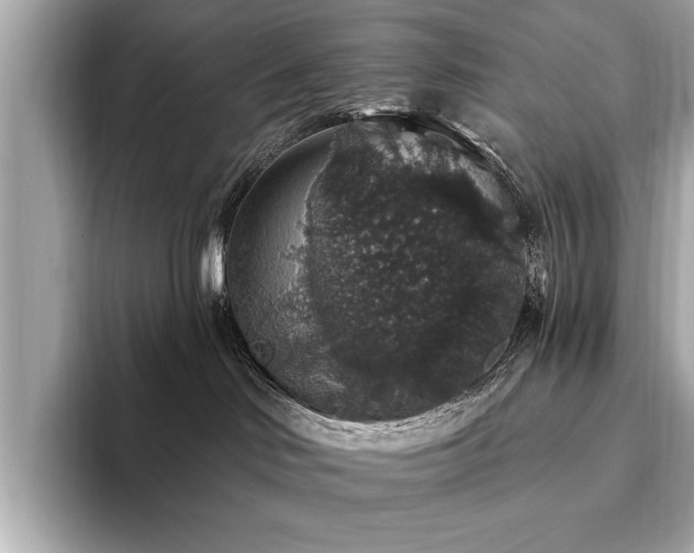 X0000093620046200710151309