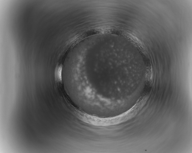 X0000093620047200710151309