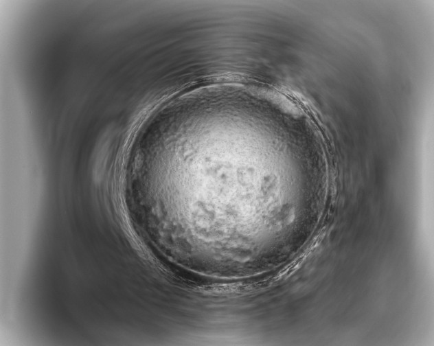 X0000093620049200710151308