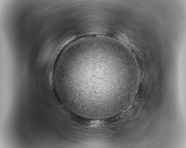 X0000093620050200710151308