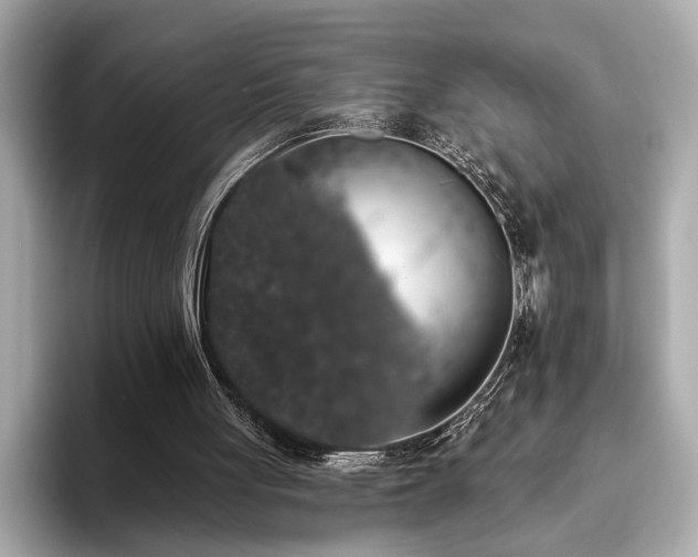 X0000093620051200710151308