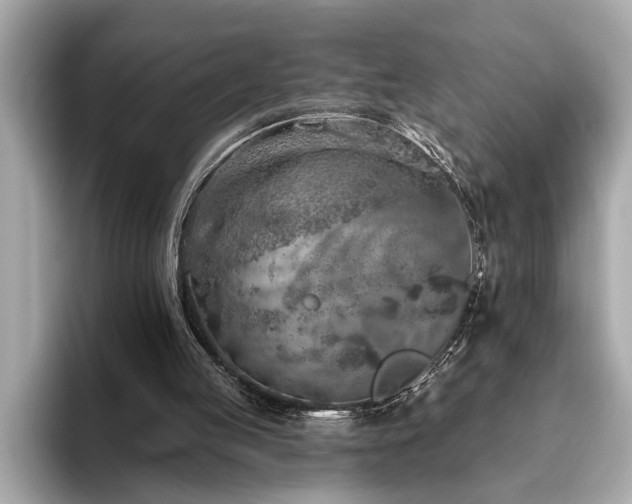 X0000093620053200710151308