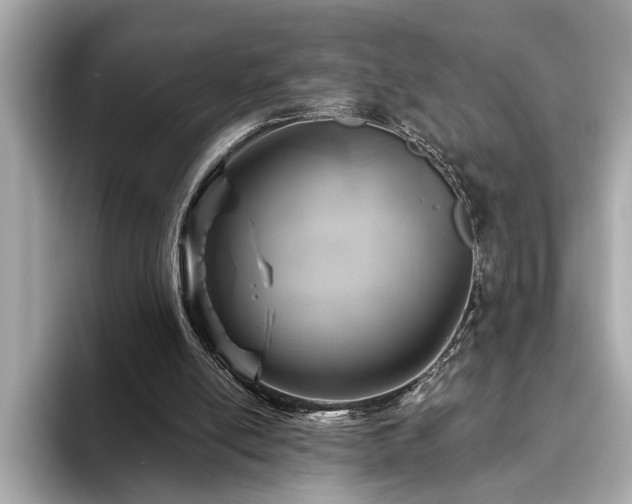 X0000093620054200710151308
