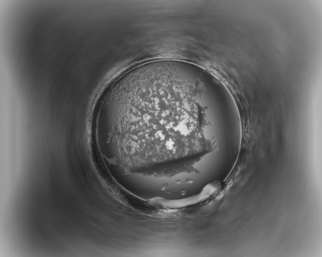 X0000093620055200710151308