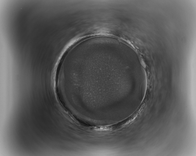 X0000093620056200710151308