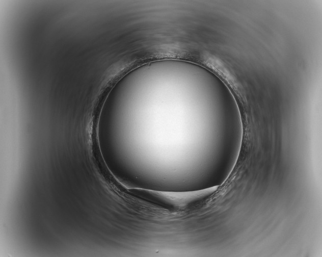 X0000093620058200710151308